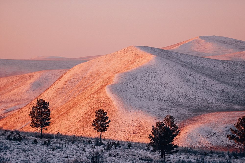 白雪覆蓋在草原山丘，被陽光照出金色稜線 ©視覺中國