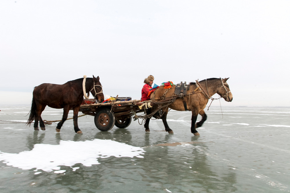 今用馬車。吉林 ©武仲林/CTPphoto