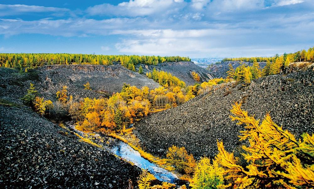 金色的安兴落叶松，点缀在黑色的火山熔岩河谷，独具特色 ©阿尔山市文旅体局